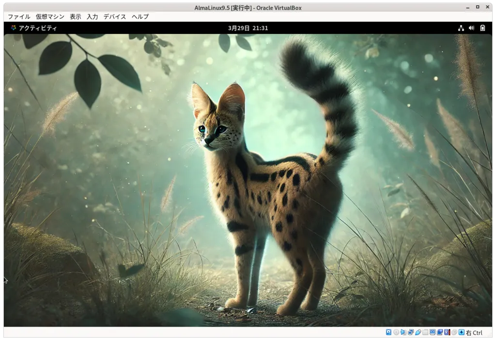 インストール画面19